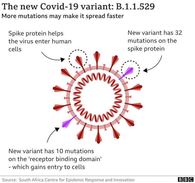 Coronavirus - 26th November 2021 A5aad8d1-9f52-498c-a164-5fb1106fa76c
