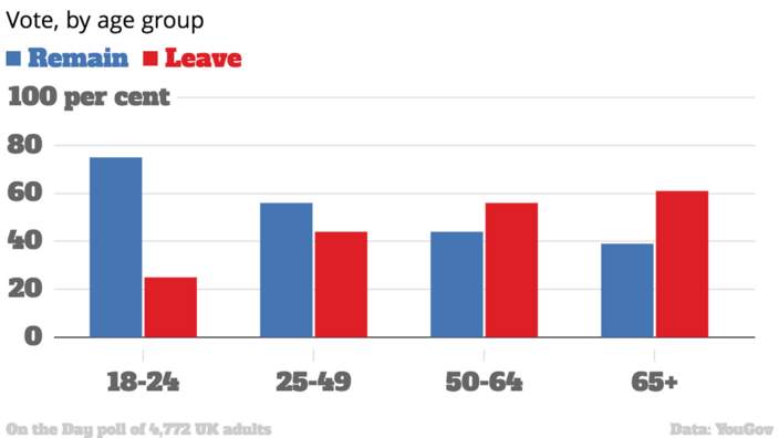 Image result for young people brexit