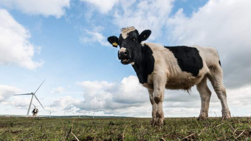 Environmental Articles Bbc Environmental Articles Bbc
