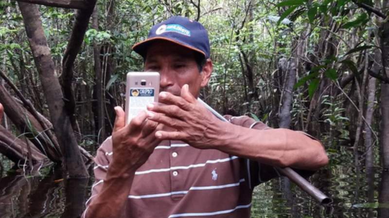 Amazon Rainforest Bbc News 0860