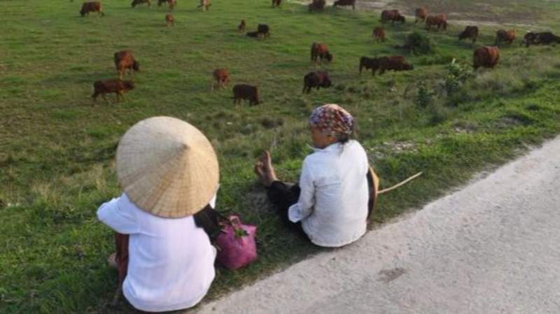 Xã Đồng Tâm, huyện Mỹ Đức và xã Xuân Dương, huyện Thanh Oai đều là những vùng nông thôn thuần nông thuộc tỉnh Hà Tây cũ