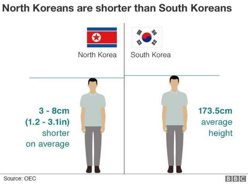 Bắc Hàn, Nam Hàn