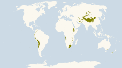 Primary Types of Terrestrial Ecosystems / Biomes (WWF) - AnthroScape