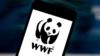 Логотип WWF на экране телефона
