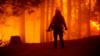 В Калифорнии горят лесные пожары