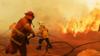 Австралийские пожарные борются с лесными пожарами