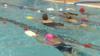 Пловцы в бассейне