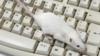 Исследователи надеются, что мыши смогут слышать неровности, которые человеческое ухо может пропустить