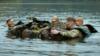 Солдаты переплывают озеро в предыдущем марше