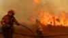 Австралийские пожарные сражаются с лесным пожаром с близкого расстояния в начале этого месяца