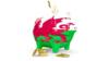 Флаг Уэльса на копилке