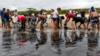 Волонтеры убирают нефть на бразильском пляже