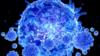 Т-клетки атакуют Covid-19