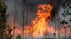 Огонь и дым видны на автостраде IC8 во время лесного пожара возле Педрогау-Гранди в центральной Португалии 18 июня 2017 года.