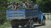 На снимке, сделанном 14 октября 2016 года, изображены вооруженные военные и полицейские, путешествующие на грузовиках через штат Ракхайн, Мьянма