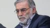 Выдающийся иранский ученый Мохсен Фахризаде на недатированной фотографии