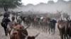 Коровы пасутся рядом с деревней Гуите в районе озера Чад, к северу от столицы 30 марта 2015 г.