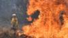 Пожарный рядом с пожаром на Лонг-Галли-роуд в северном Новом Южном Уэльсе 9 сентября