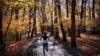 Женщина бегает трусцой по лесу на севере Лондона
