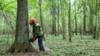 Вырубка леса в Беловежской пуще