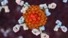 Иллюстрация антител, атакующих коронавирус