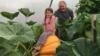 Филипп Ваулс и его внучка София на вершине гигантской тыквы