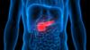поджелудочная железа выделена на рентгеновском снимке человека