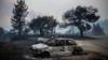 Заброшенные, почерневшие автомобили на острове Эвия, Греция