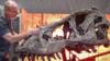 T.rex собирают в Глазго