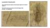 Отпечаток большого пальца Леонардо да Винчи
