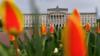 Цветы у здания Парламента Стормонта