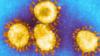 частицы коронавируса