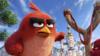 Фильм Angry Birds