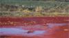 На снимке, сделанном 8 сентября 2016 года, видны лужи ярко-красной загрязненной воды на берегу реки Далдыкан в районе города Норильска