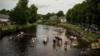 Люди моют лошадей в реке Эдем во второй день ежегодной ярмарки лошадей Эпплби
