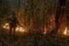 Пожарный пытается потушить лесной пожар в бразильских джунглях