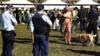 К посетителю фестиваля подходят полицейская собака-ищейка и несколько полицейских на музыкальном фестивале в Сиднее