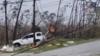 Автомобиль, очевидно, врезался в деревья, которые на этом фото искривлены и погнуты