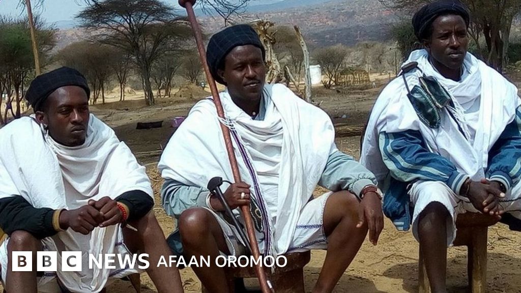 Waa Ee Gadaa Wantoota Beekuu Qabdan Shan Bbc News Afaan Oromoo