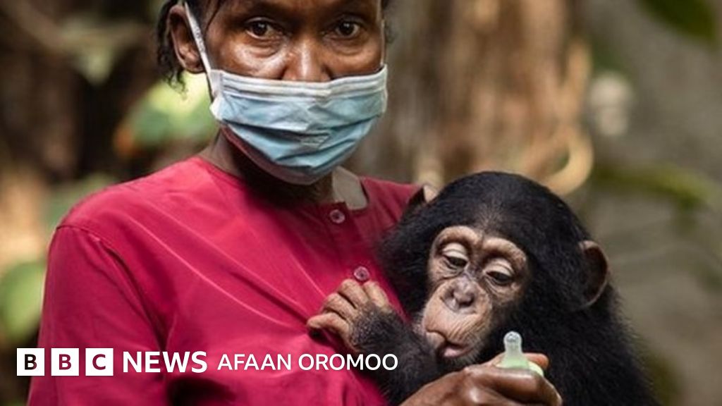 Qattiq dumba va kokraklar Mariya Orzul yalangoch porno