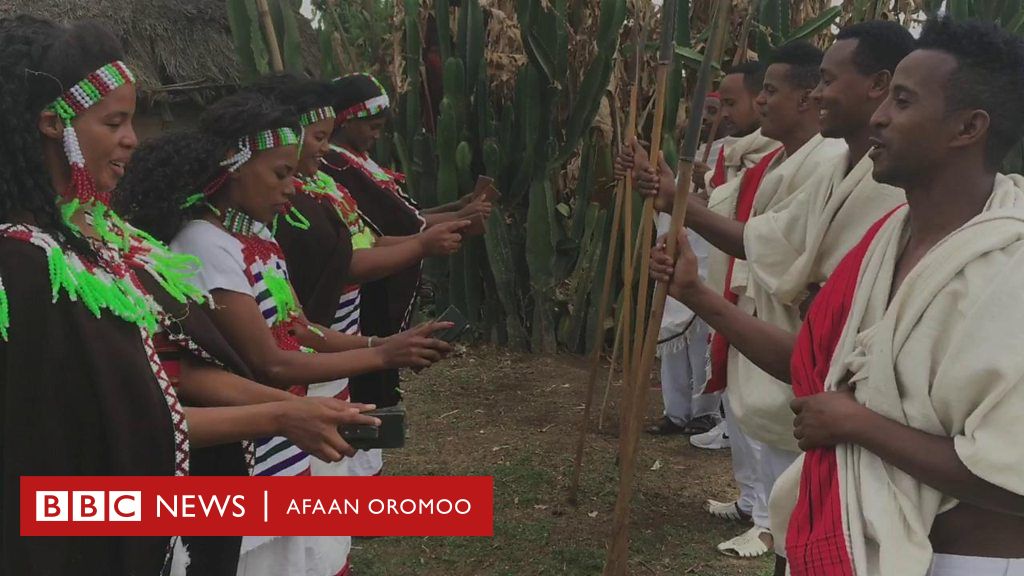 Tirrii Shubbisa Aadaa Oromoo Arsii Keessaa Tokko Kan Tae Bbc News