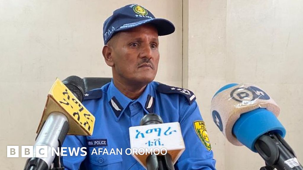 Perdos porno videolar