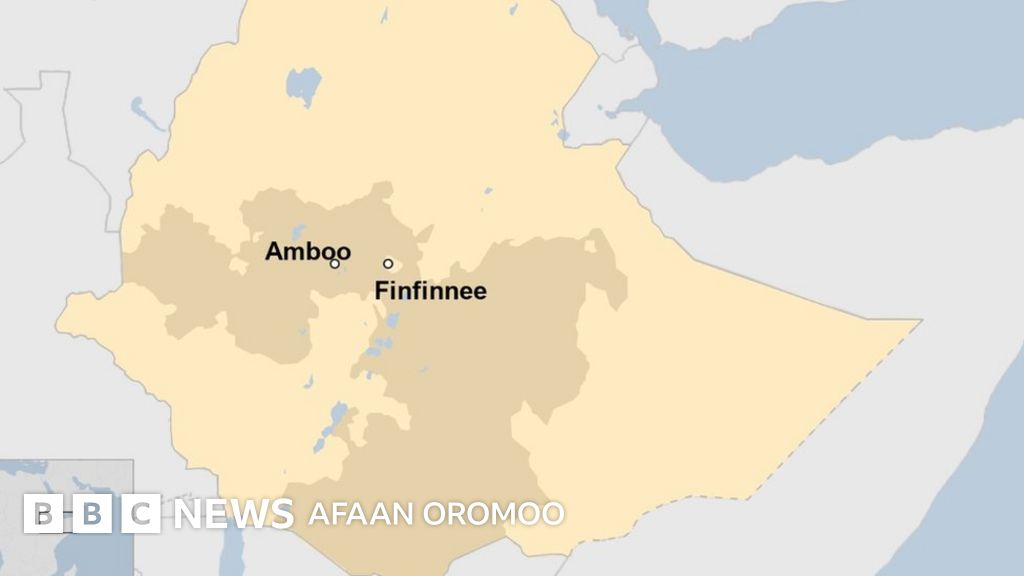 Sukana Crowd Hitomi Tanakaning porno videosi Pul uchun jin