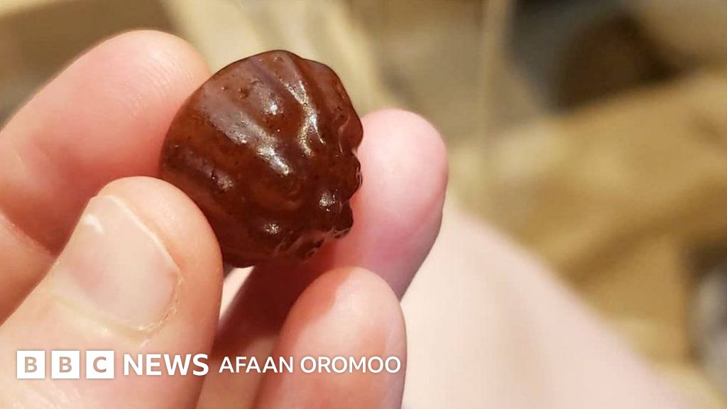 Ayollar pantiesidagi yigitlarning mushuklari