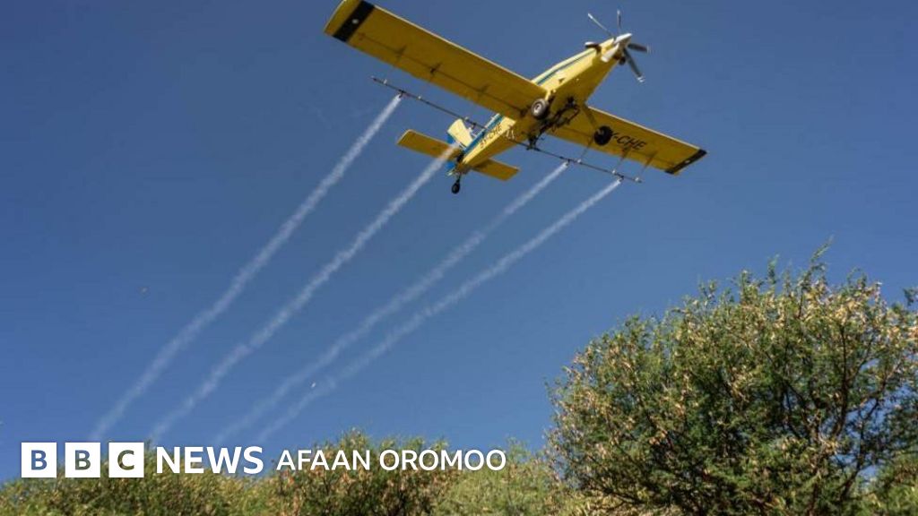 Porno video chet ellik ayolni paypoqda ushlab oldi Ular ajralishdi va parkda sikishdi