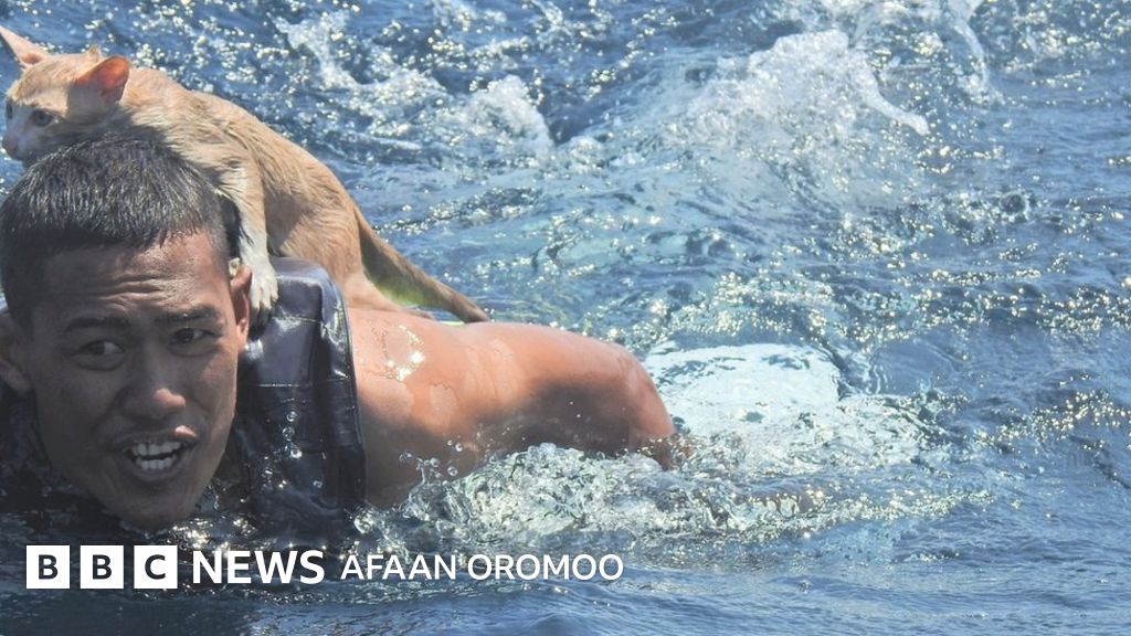 Yosh, chiroyli va arzon porno Porno kastingda rus juftligi