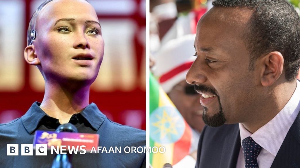 Butalar ichida mushukchalar