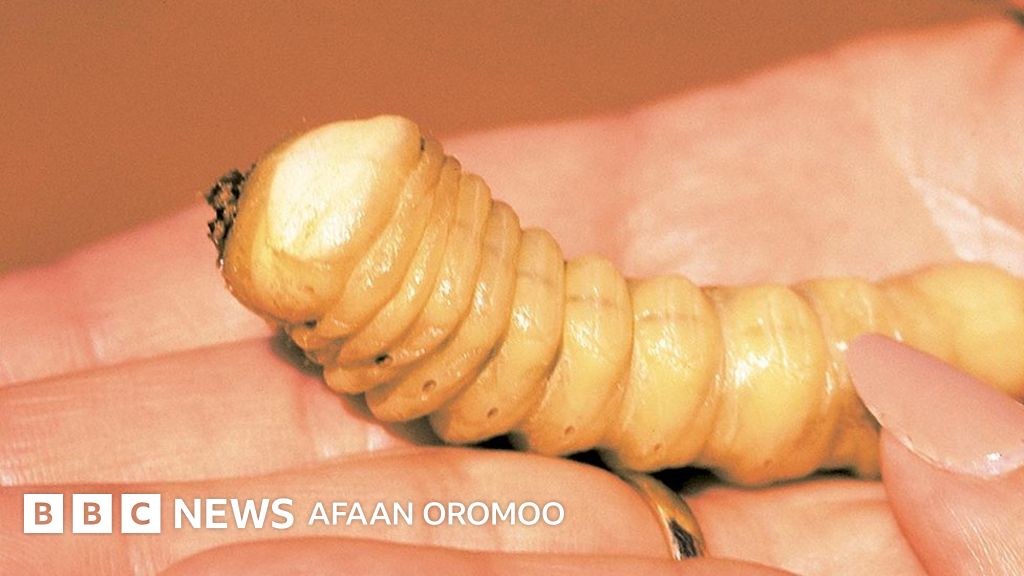 Quyosh botishi fonida dengizda jinsiy aloqa