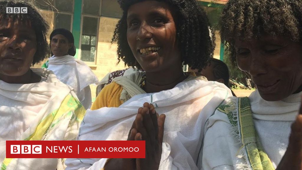 Sirba Aadaa Fuudhaafi Heerumaa Oromoo Jiillee Bbc News Afaan Oromoo