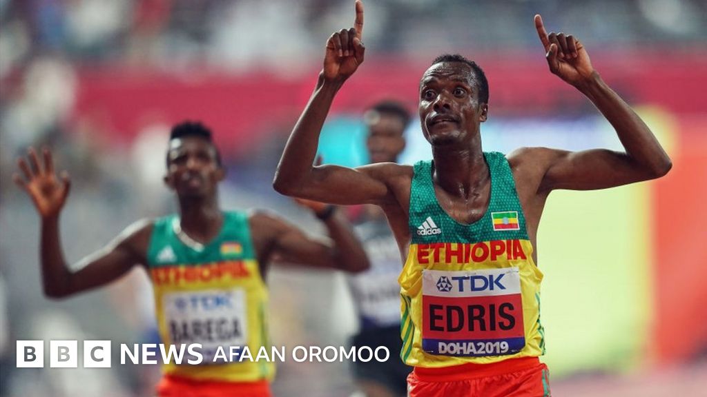 Siyayotgan odamlarning videolari